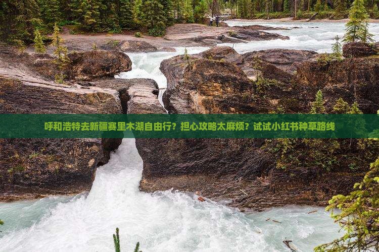 呼和浩特去新疆赛里木湖自由行
