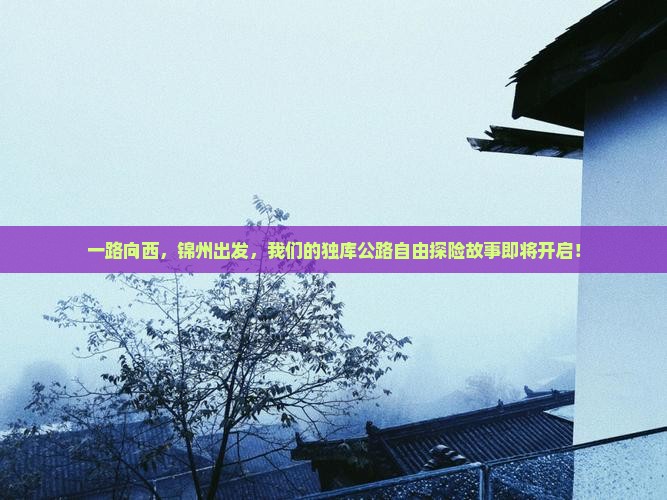 锦州到新疆独库公路自由团
