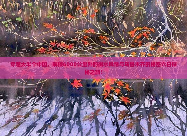 衡水去新疆乌鲁木齐六日游