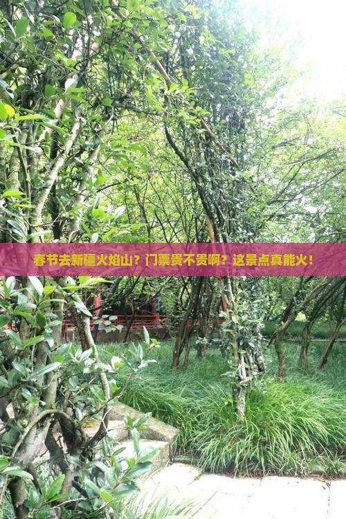 春节去新疆火焰山门票