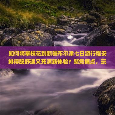 攀枝花到新疆布尔津七日游