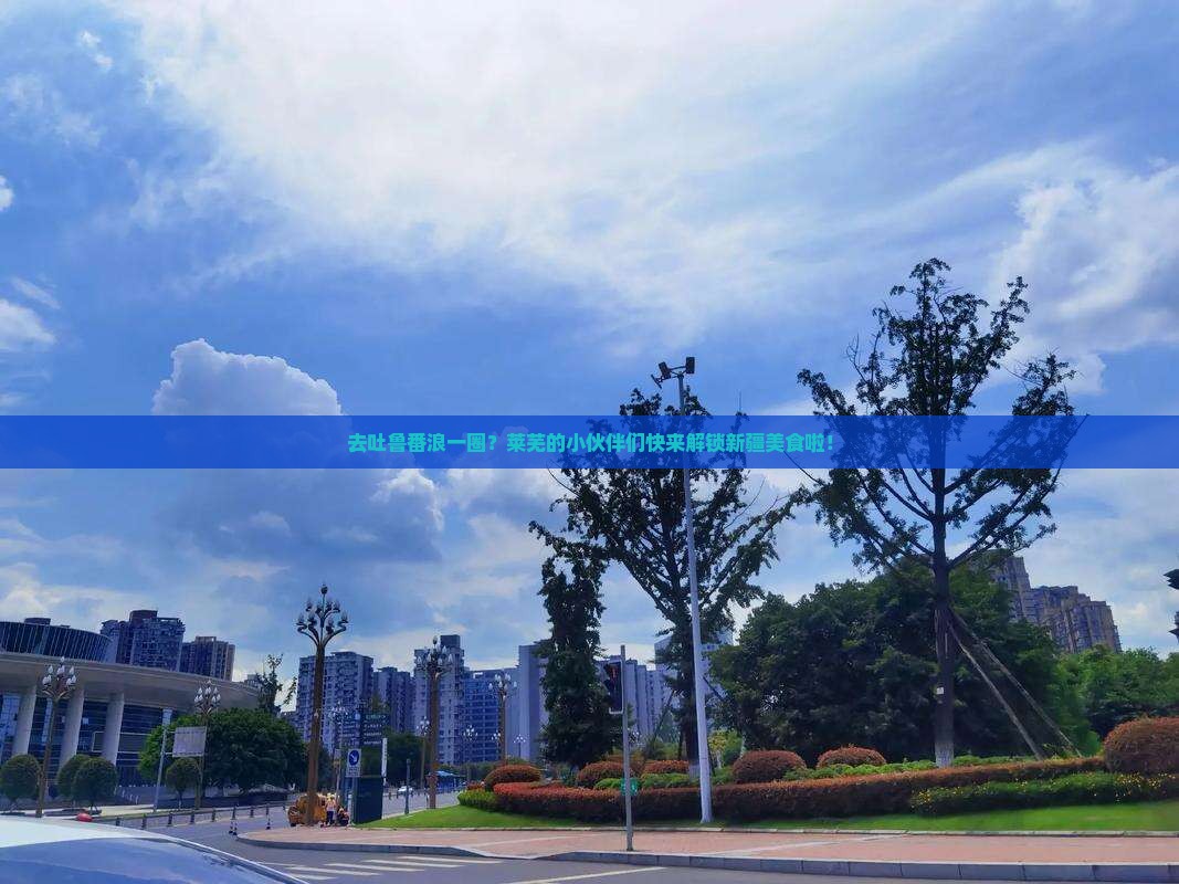 莱芜去新疆吐鲁番旅游小吃