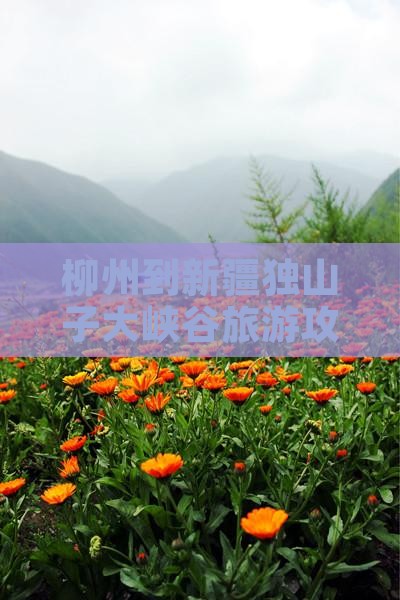 柳州到新疆独山子大峡谷旅游