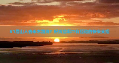 眉山去新疆禾木攻略