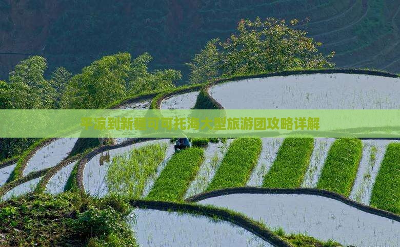 平凉到新疆可可托海大型旅游团
