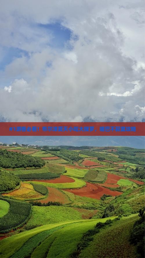夏天去新疆布尔津旅游小吃
