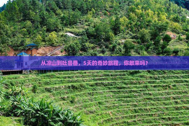 凉山到新疆吐鲁番五日游