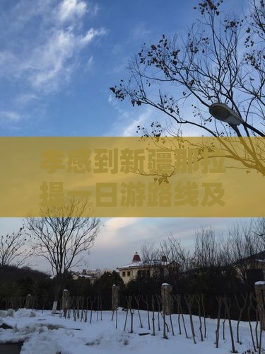 孝感到新疆那拉提一日