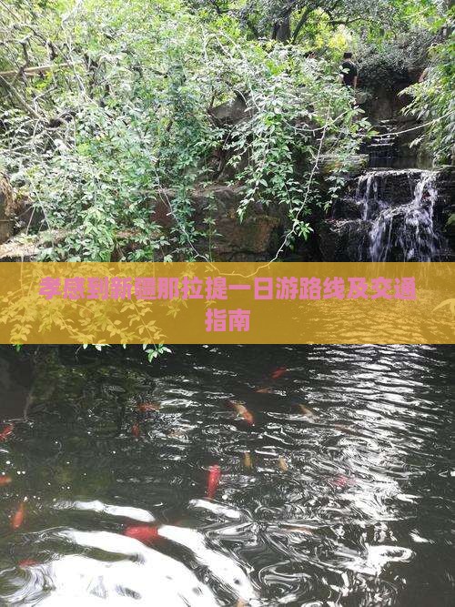 孝感到新疆那拉提一日