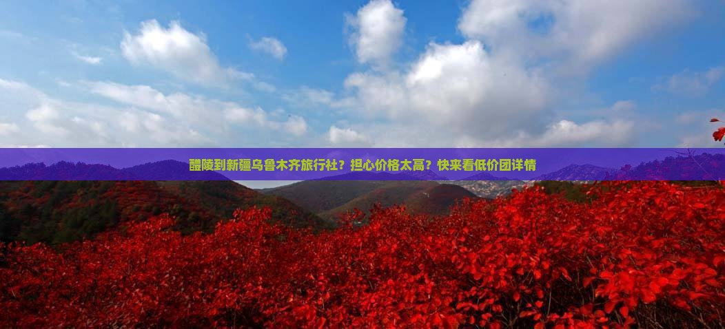 醴陵到新疆乌鲁木齐旅行社