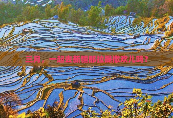 三月去新疆那拉提景点