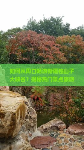 周口到新疆独山子大峡谷旅游