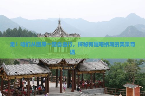 固原去新疆喀纳斯自由团