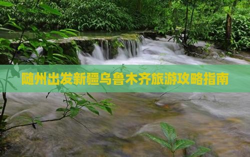 随州到新疆乌鲁木齐门票