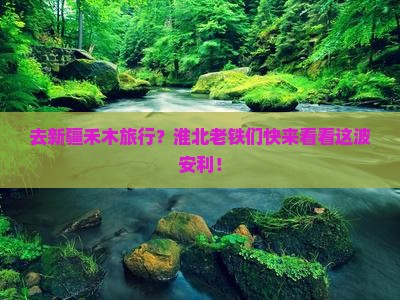 淮北去新疆禾木旅行社