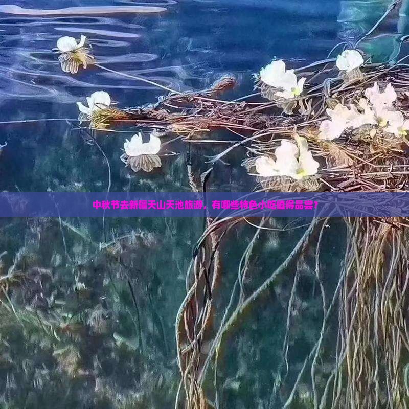 中秋节到新疆天山天池旅游小吃