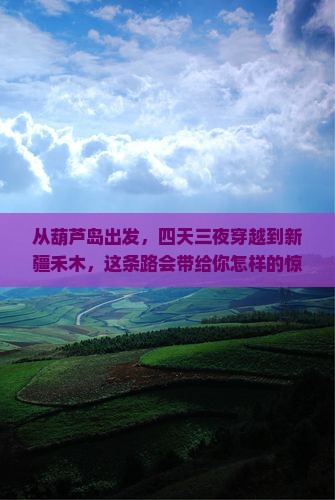 葫芦岛到新疆禾木四日游