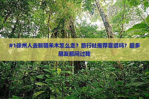 徐州到新疆禾木旅行社