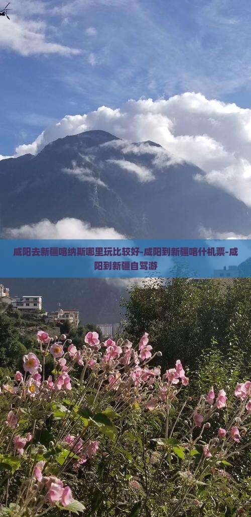 咸阳去新疆喀纳斯哪里玩