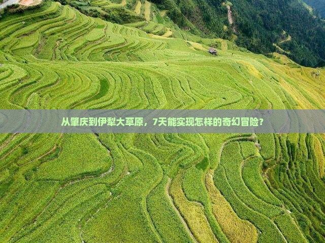 肇庆去新疆伊犁大草原七日游