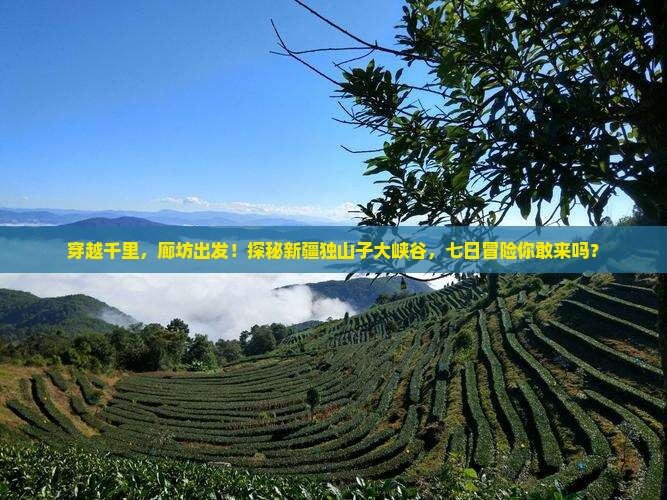 廊坊到新疆独山子大峡谷七日游