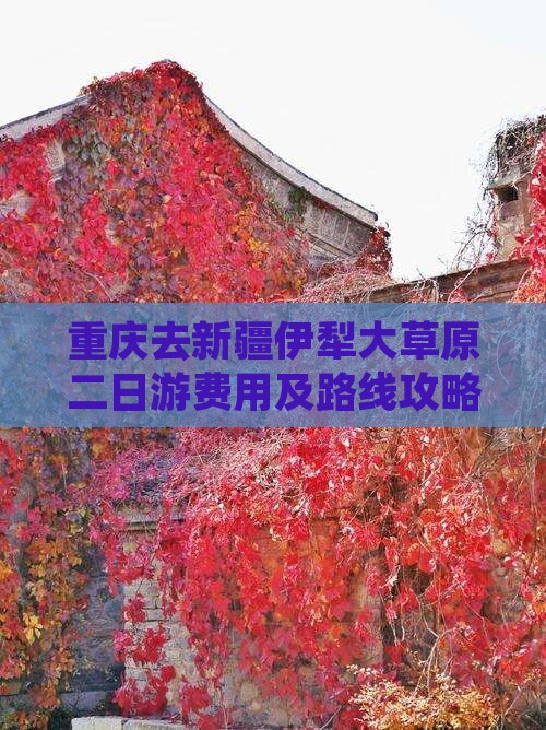 重庆去新疆伊犁大草原二日游