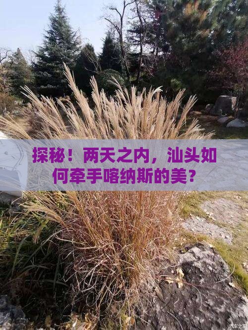 汕头去新疆喀纳斯二日游