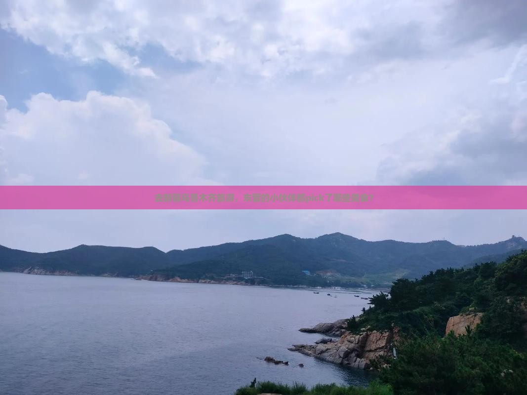 东营去新疆乌鲁木齐旅游小吃