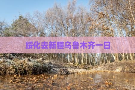 绥化去新疆乌鲁木齐一日