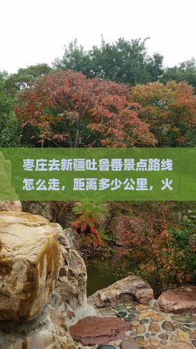 枣庄去新疆吐鲁番景点