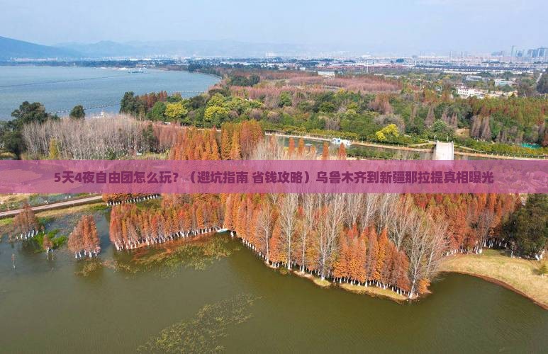 乌鲁木齐到新疆那拉提自由团