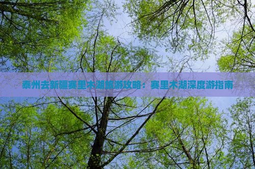 泰州去新疆赛里木湖攻略