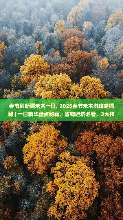 春节到新疆禾木一日