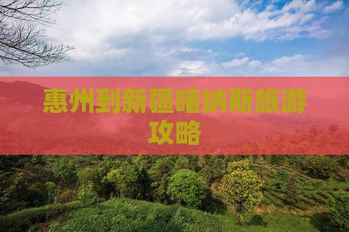 惠州到新疆喀纳斯旅游