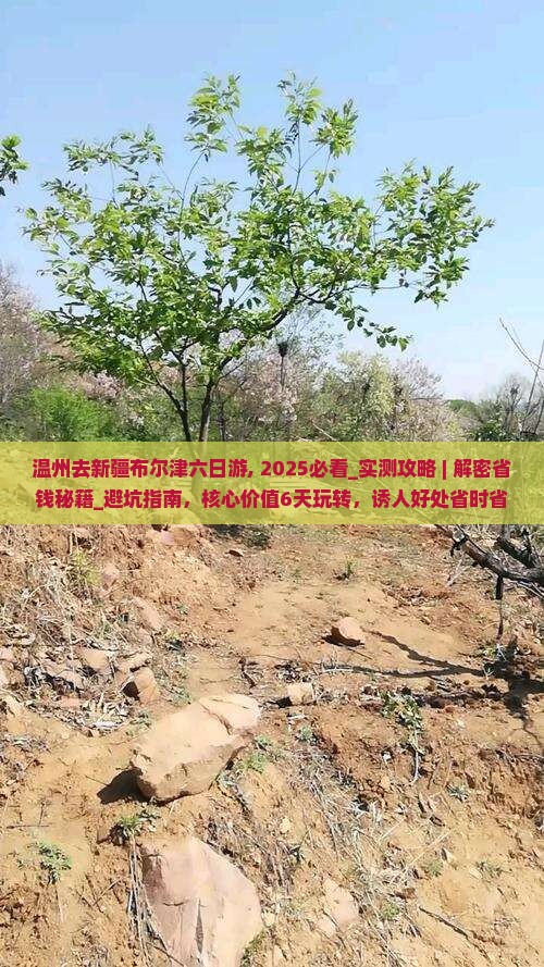 温州去新疆布尔津六日游