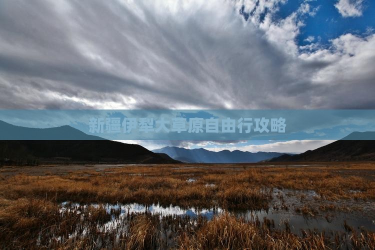 夏天到新疆伊犁大草原自由行