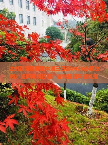 达州到新疆赛里木湖三日游