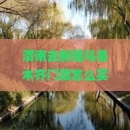 渭南去新疆乌鲁木齐门票