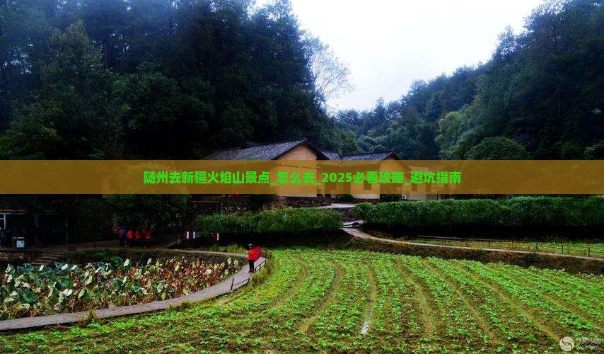 随州去新疆火焰山景点