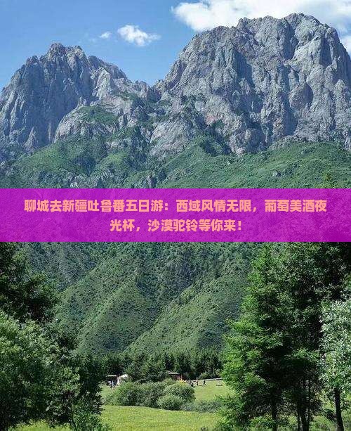 聊城去新疆吐鲁番五日游