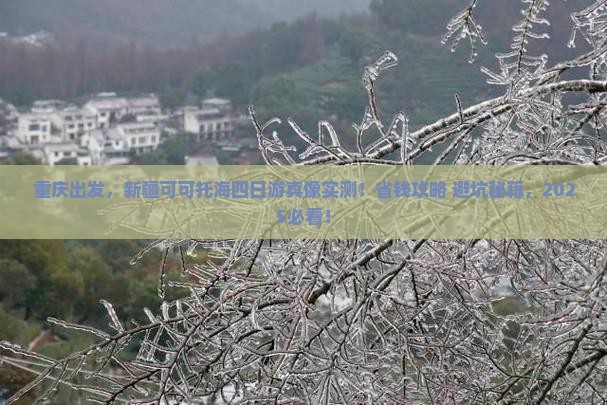 重庆到新疆可可托海四日游