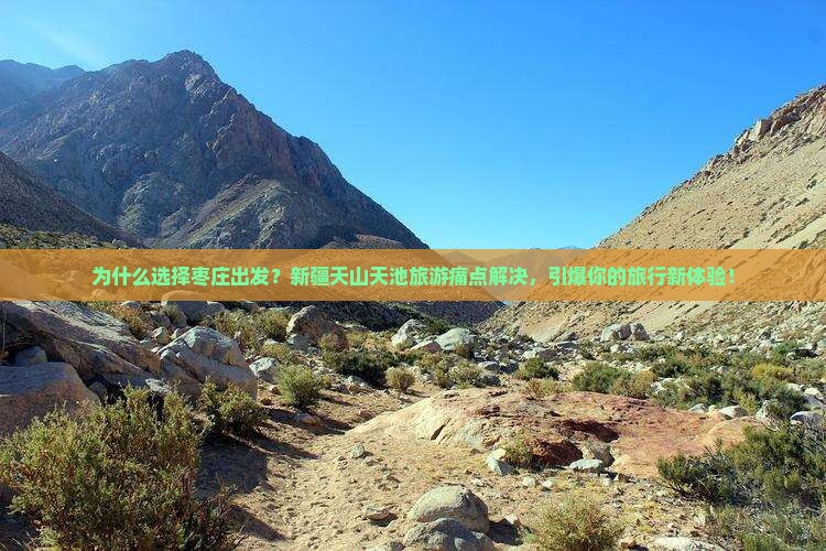 枣庄到新疆天山天池旅游