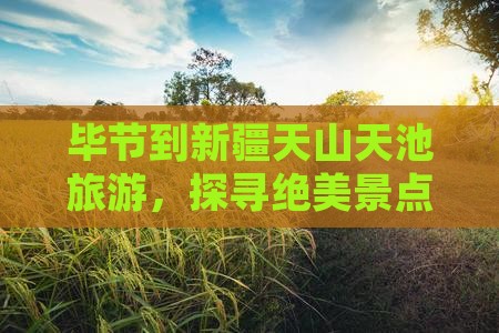 毕节到新疆天山天池旅游