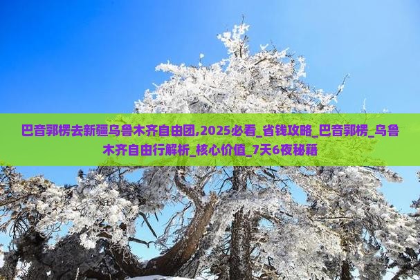 巴音郭楞去新疆乌鲁木齐自由团