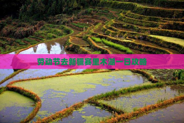 劳动节去新疆赛里木湖一日