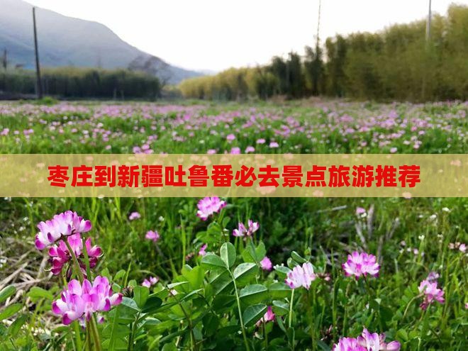 枣庄到新疆吐鲁番必去地