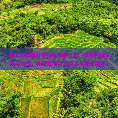 嘉兴去新疆可可托海旅游小吃