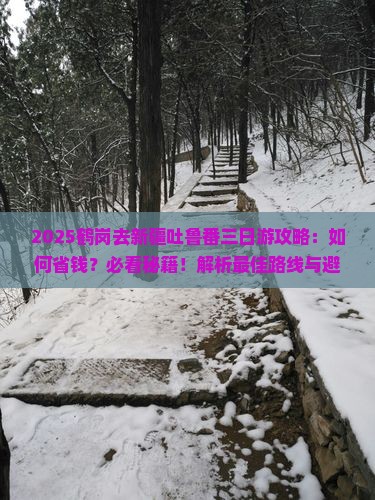 鹤岗去新疆吐鲁番三日游