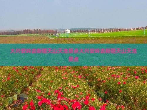 大兴安岭去新疆天山天池景点