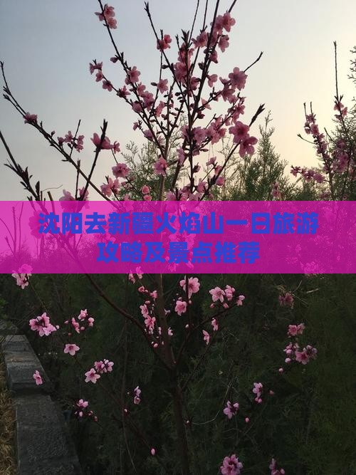 沈阳去新疆火焰山一日